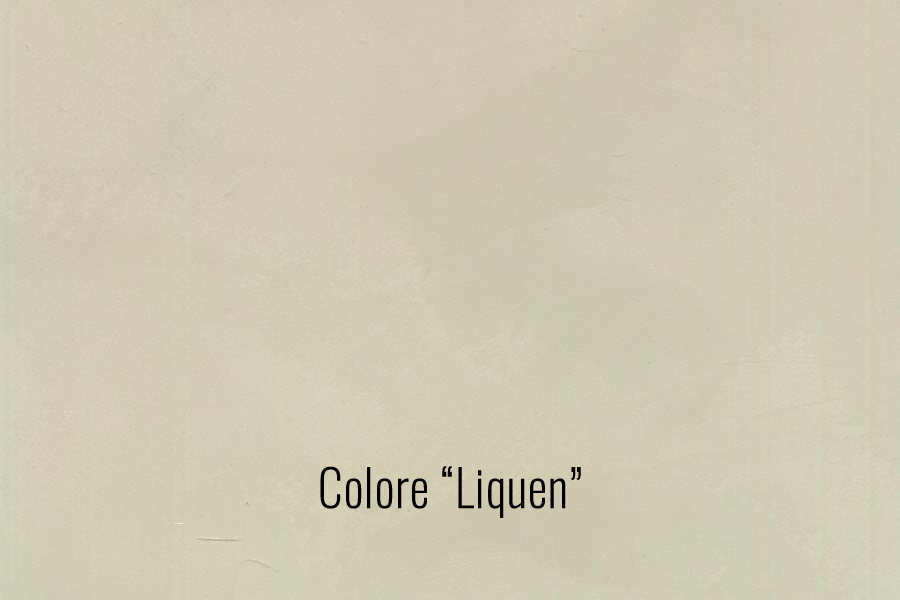 17liquen