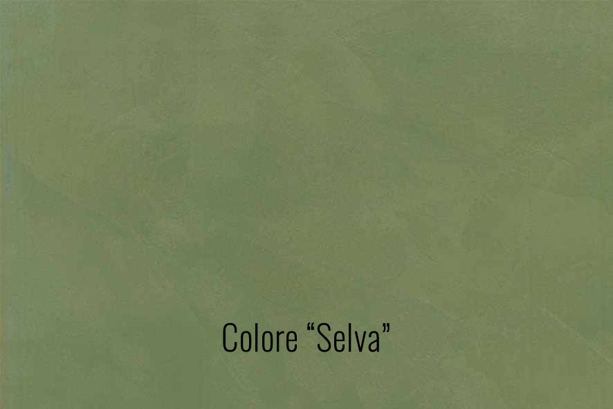 29selva